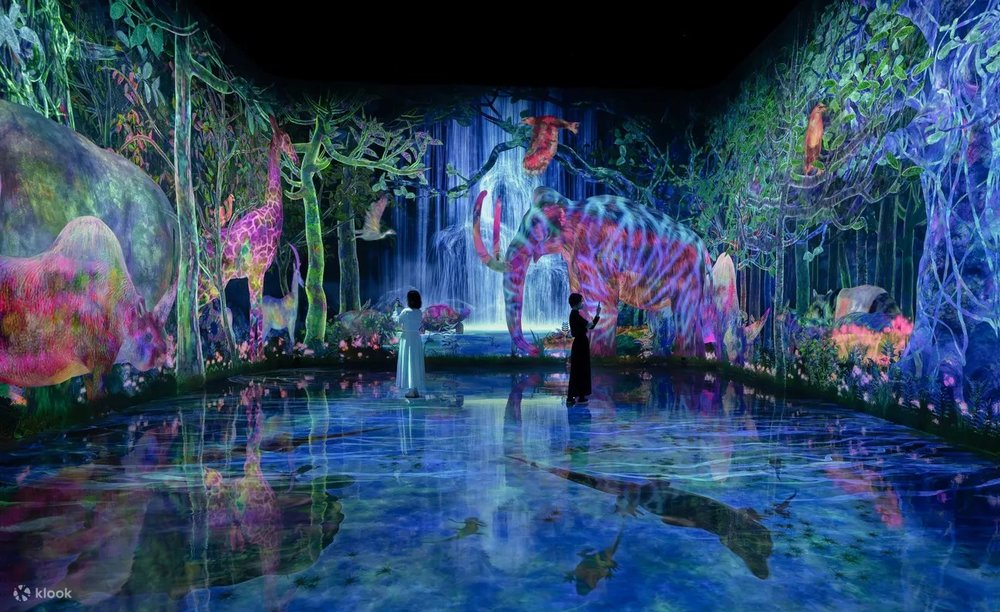 Kinh Nghiệm Đi teamLab Planets Tokyo Lần Đầu