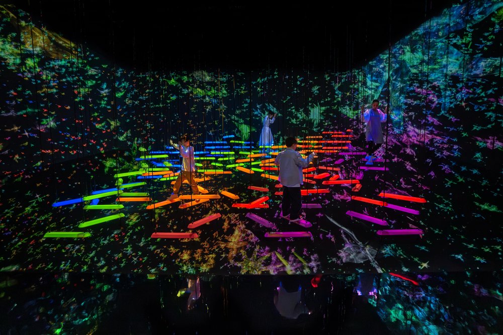 Đánh Thức Cơ Thể Và Các Giác Quan Tại Athletics Forest