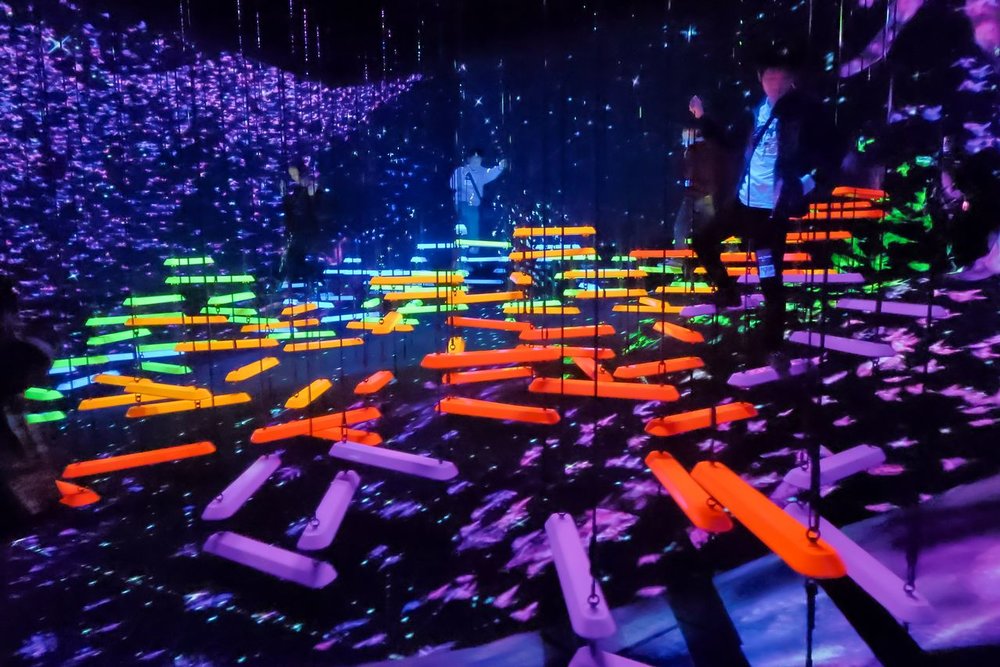 Đánh Thức Cơ Thể Và Các Giác Quan Tại Athletics Forest