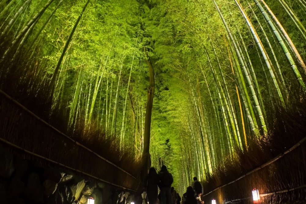 Lễ Hội Ánh Sáng Higashiyama Hanatoro (Tháng 3)