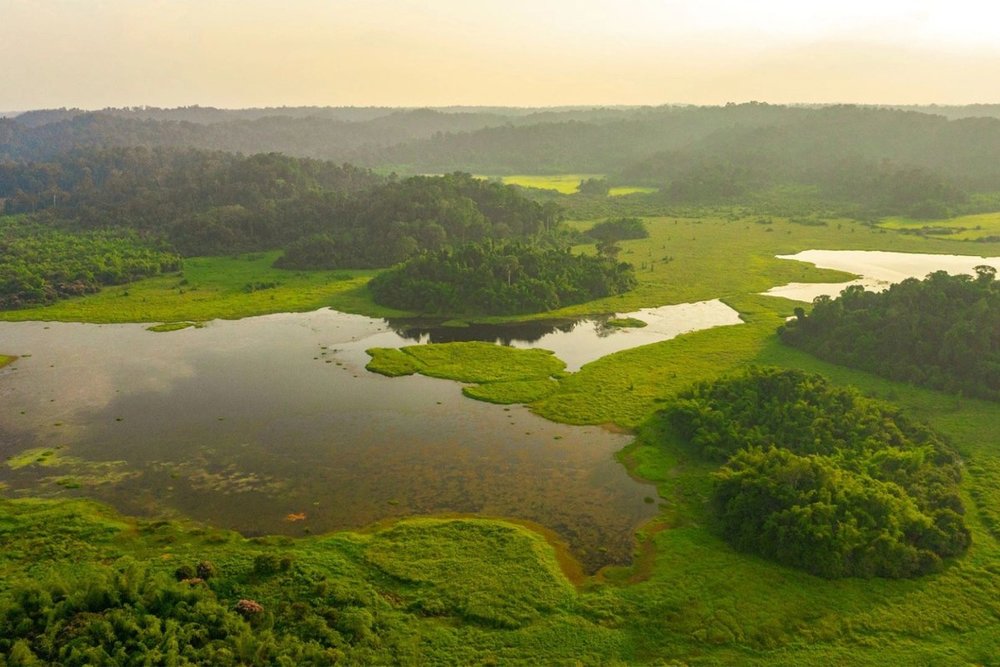 Tour Du Lịch Rừng Nam Cát Tiên 2 Ngày 1 Đêm