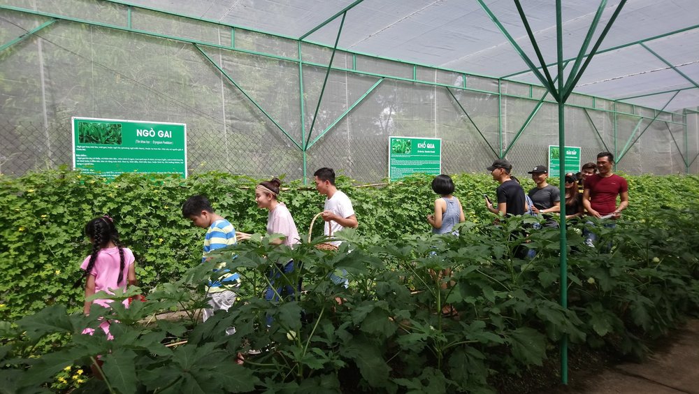 Vui Chơi Thả Ga Tại Khu Vui Chơi & Nông Trại Giáo Dục