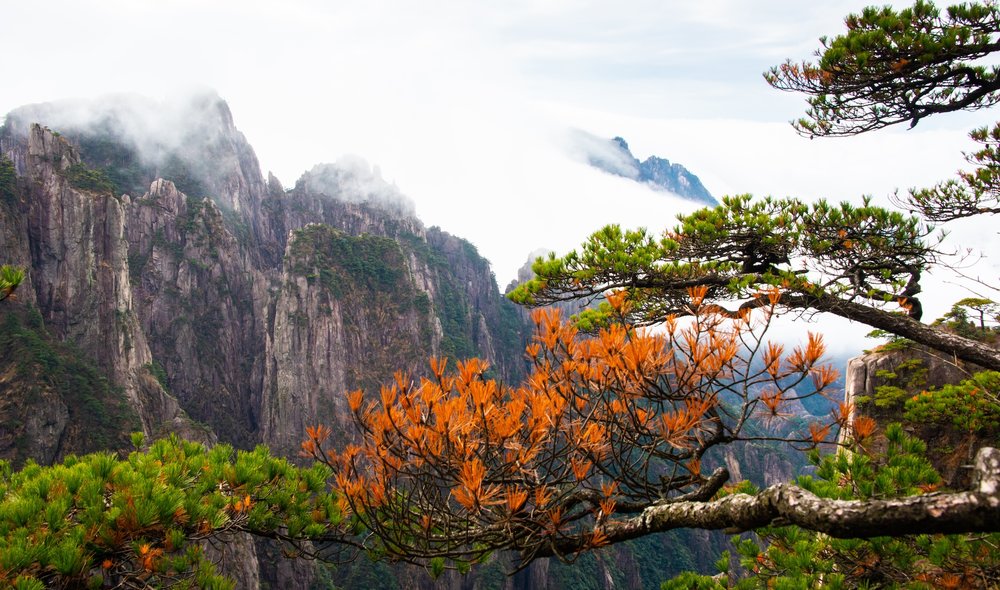 ภูเขาหวงซาน ช่วงฤดูใบไม้เปลี่ยนสี 