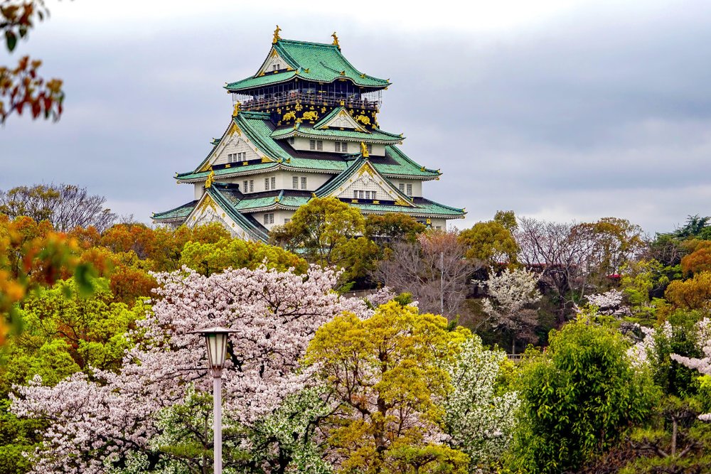 Ngày 11: Di Chuyển Đến Osaka - Lâu Đài Osaka - Khu Umeda - Khu Dotonbori 