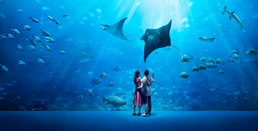 Thủy cung Singapore Oceanarium