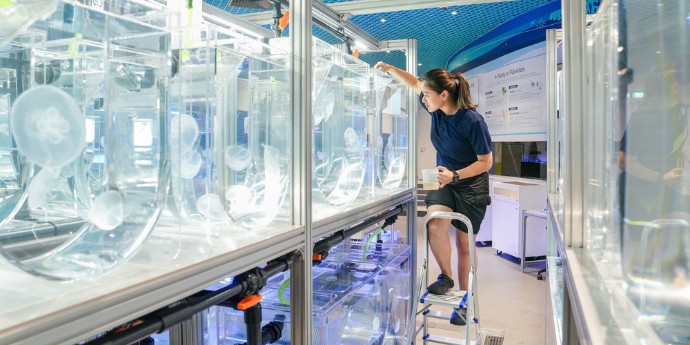 Thủy cung Singapore Oceanarium