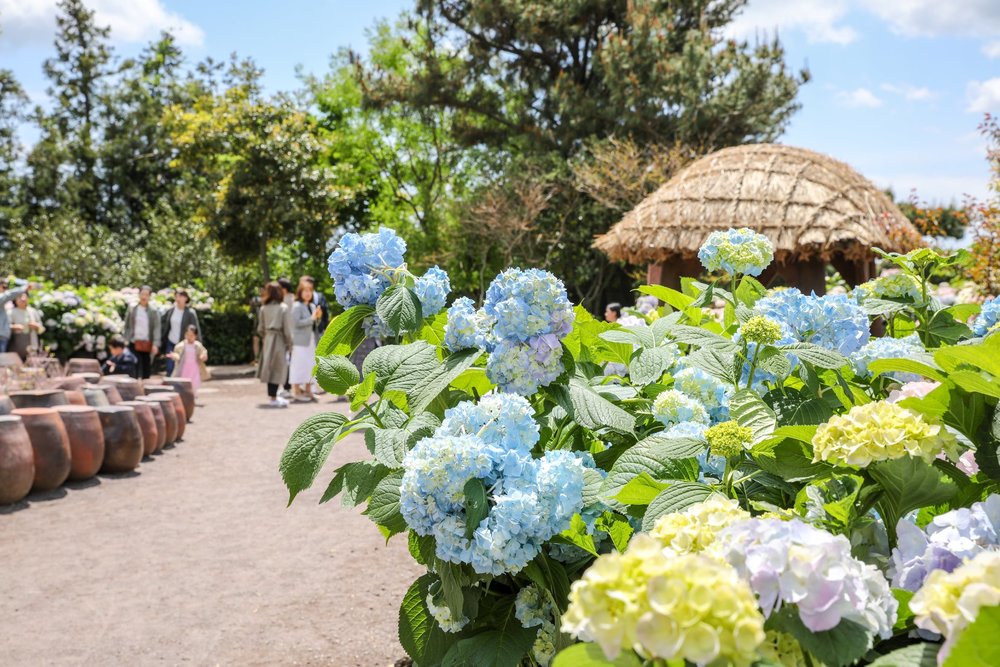 Công Viên Hueree Jeju