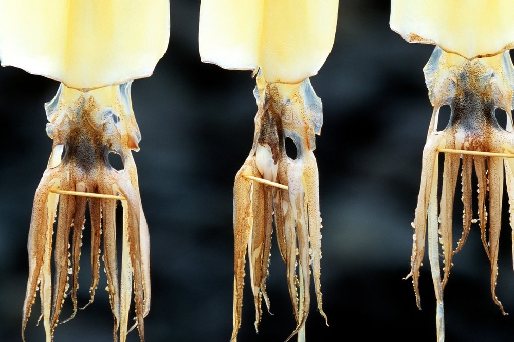 du-lich-jeju-3-ngay-2-dem