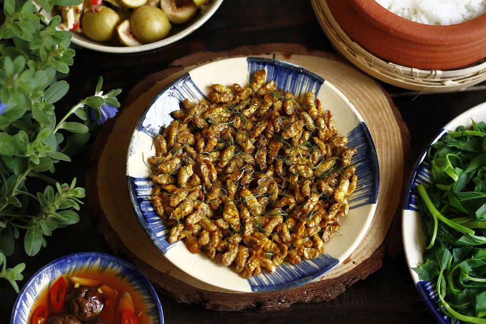 Nhộng Ong Rang - Đặc Sản Cho Người Yêu "Mạo Hiểm"