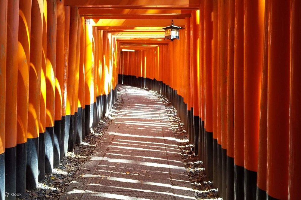 Du Lịch Fushimi Inari Vào Mùa Đông (Tháng 12–2)