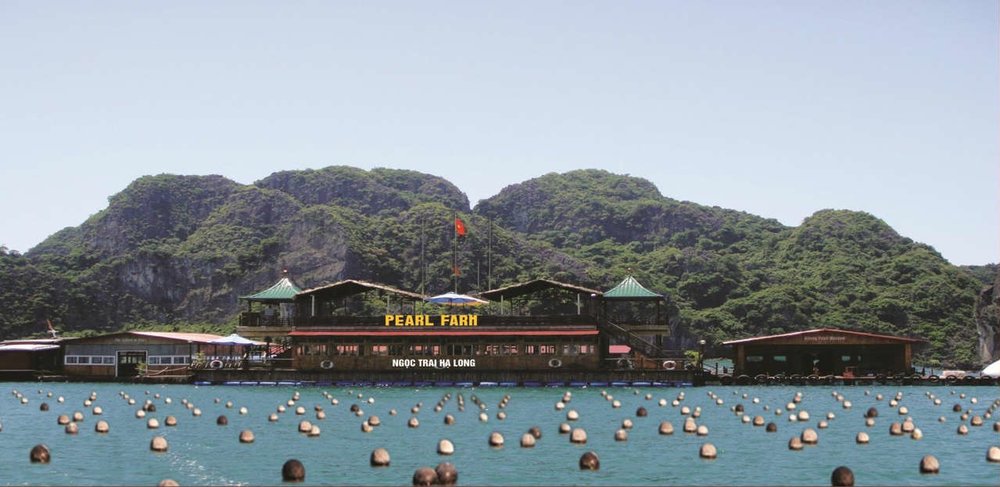 Đón Bình Minh và Tìm Hiểu Về Ngọc Trai Hạ Long