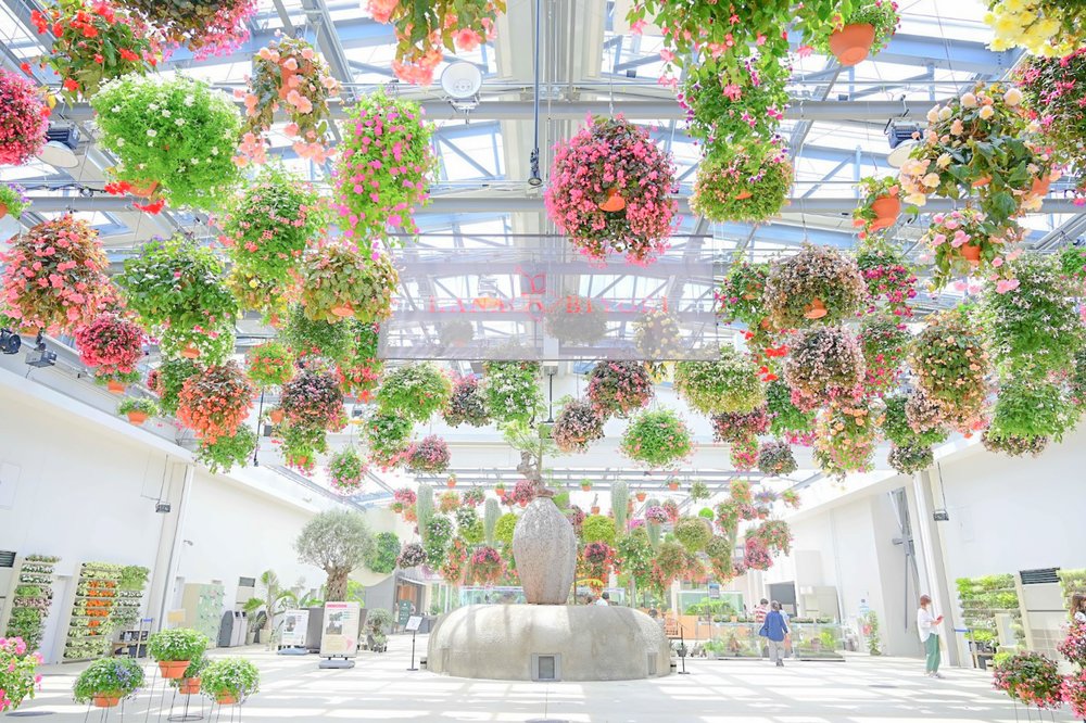 Công Viên Yomiuriland & HANA·BIYORI