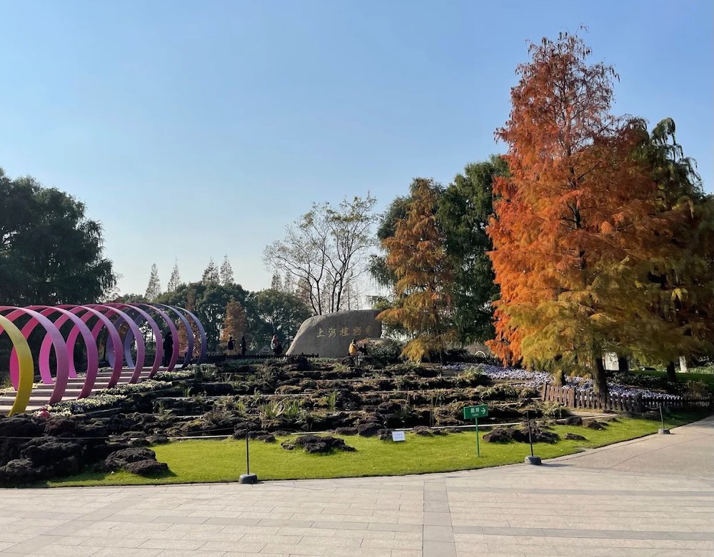 สวนพฤกษศาสตร์เซี่ยงไฮ้ในฤดูใบไม้ร่วง ประเทศจีน