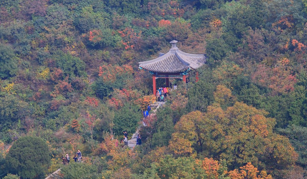 ใบไม้เปลี่ยนสีที่สวนเซียงซาน ปักกิ่ง ประเทศจีน 