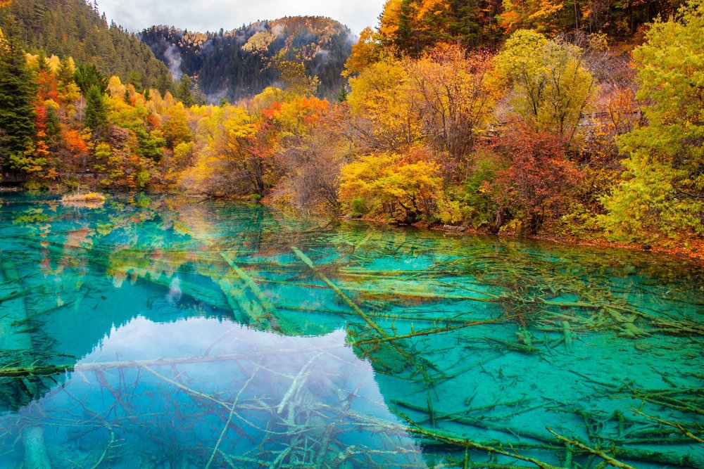 อุทยานแห่งชาติจิ่วจ้ายโกว เสฉวน ประเทศจีน