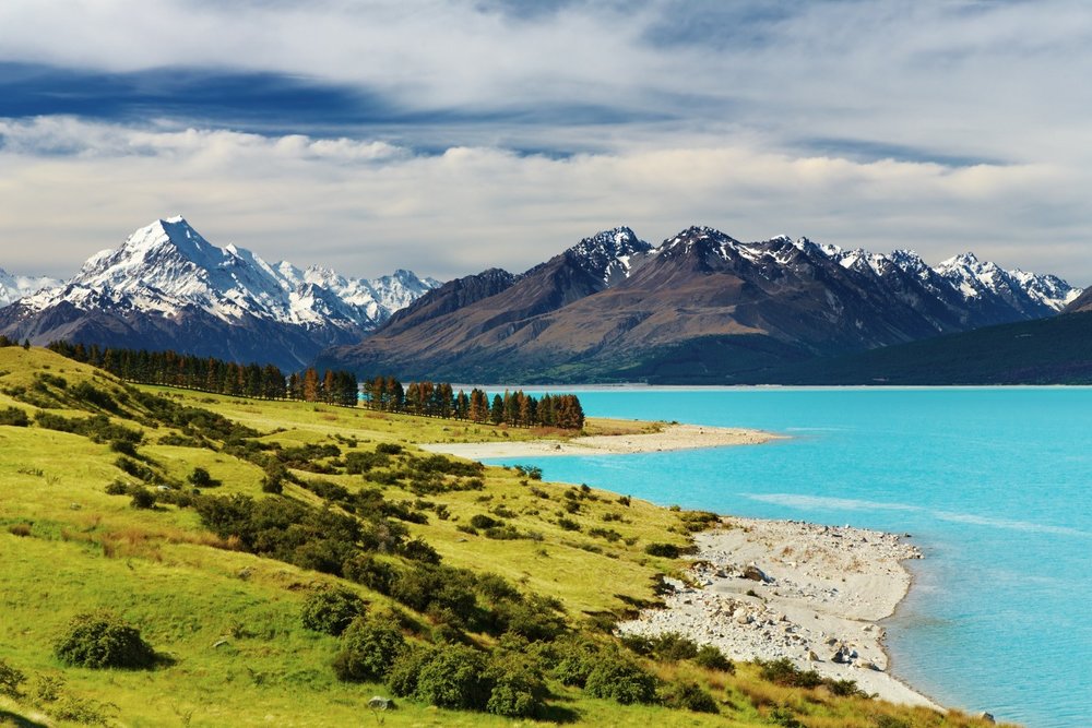 Trọn Bộ Hồ Sơ Và Thủ Tục Xin Visa New Zealand