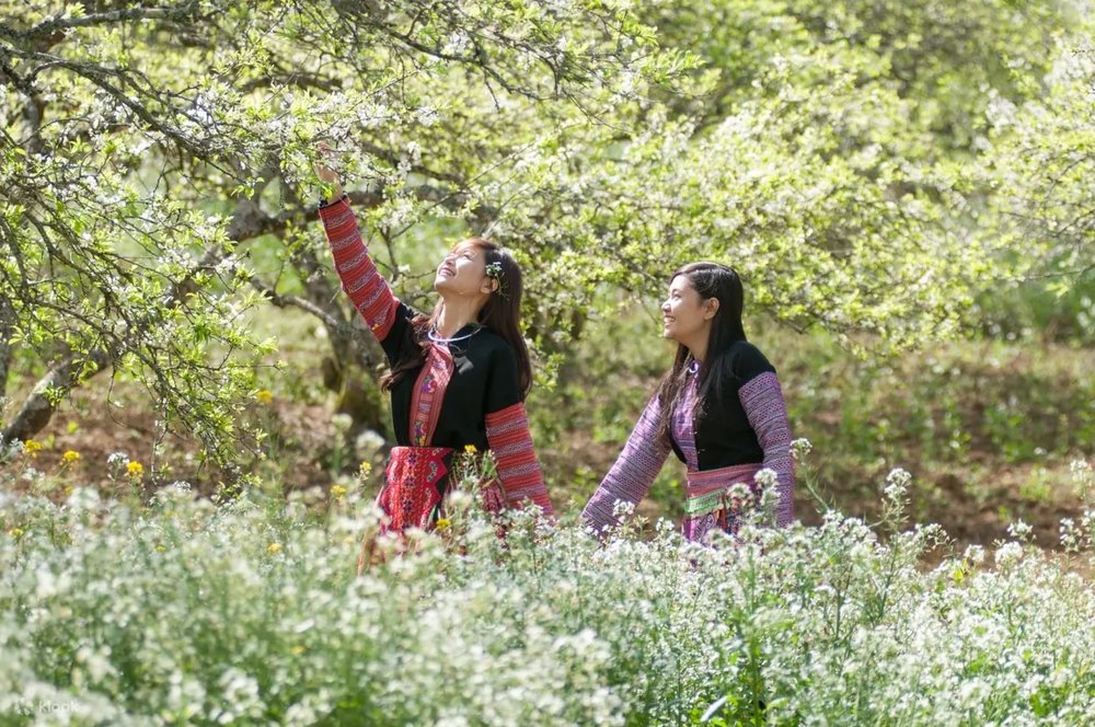 Du Lịch Mộc Châu Tháng 12