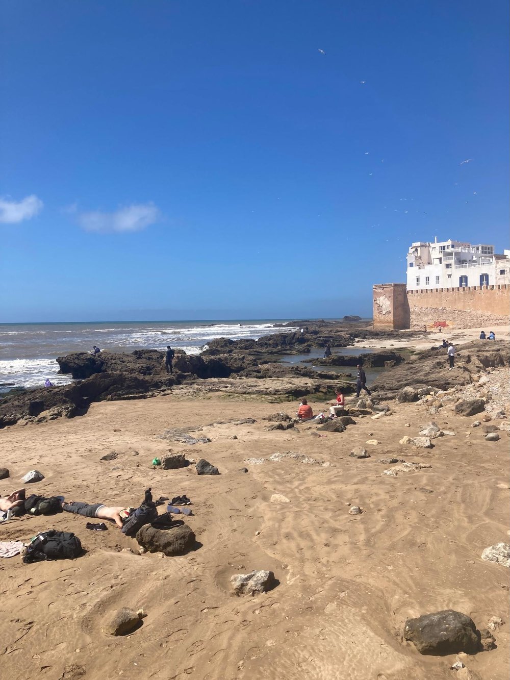 【モロッコ】もう帰りたくない!魚と世界遺産の町エッサウィラ(マラケシュから日帰りできます) 青空 太平洋 海辺