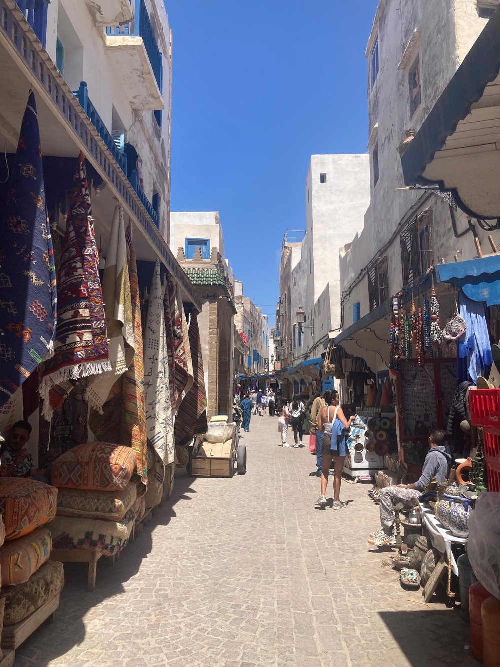 【モロッコ】もう帰りたくない!魚と世界遺産の町エッサウィラ(マラケシュから日帰りできます) 旧市街 マーケット