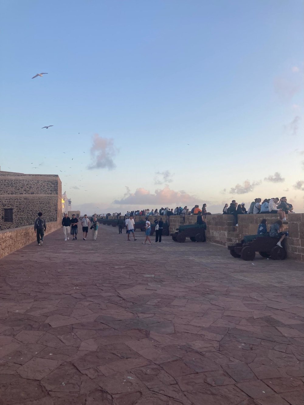 【モロッコ】もう帰りたくない!魚と世界遺産の町エッサウィラ(マラケシュから日帰りできます) 夕焼け