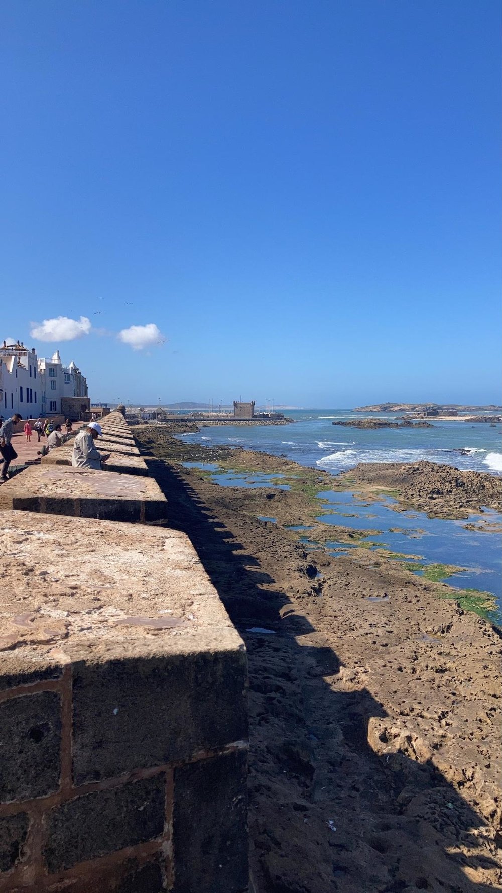 【モロッコ】もう帰りたくない!魚と世界遺産の町エッサウィラ(マラケシュから日帰りできます) 海辺