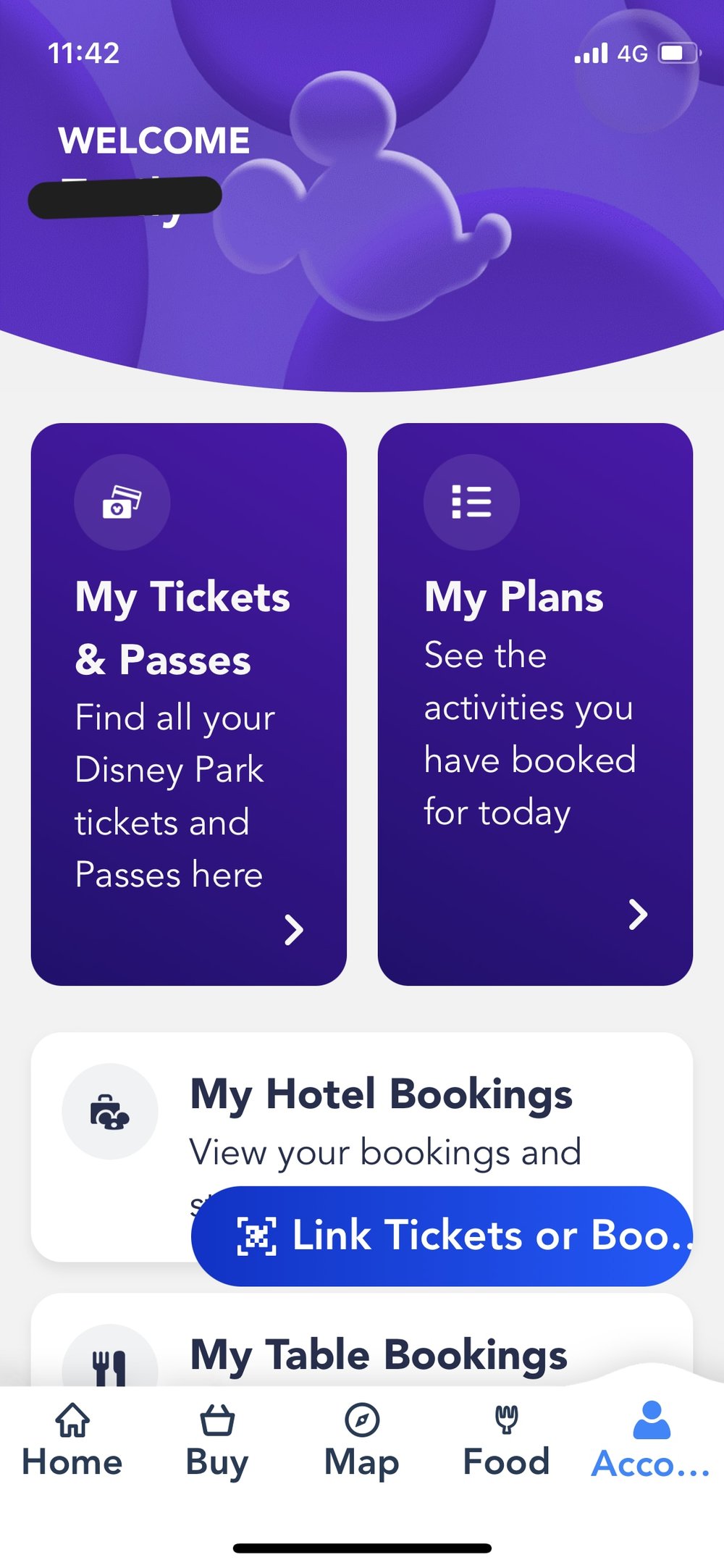 パリディズニー チケット 買い方 ディズニーランドパリ アプリ