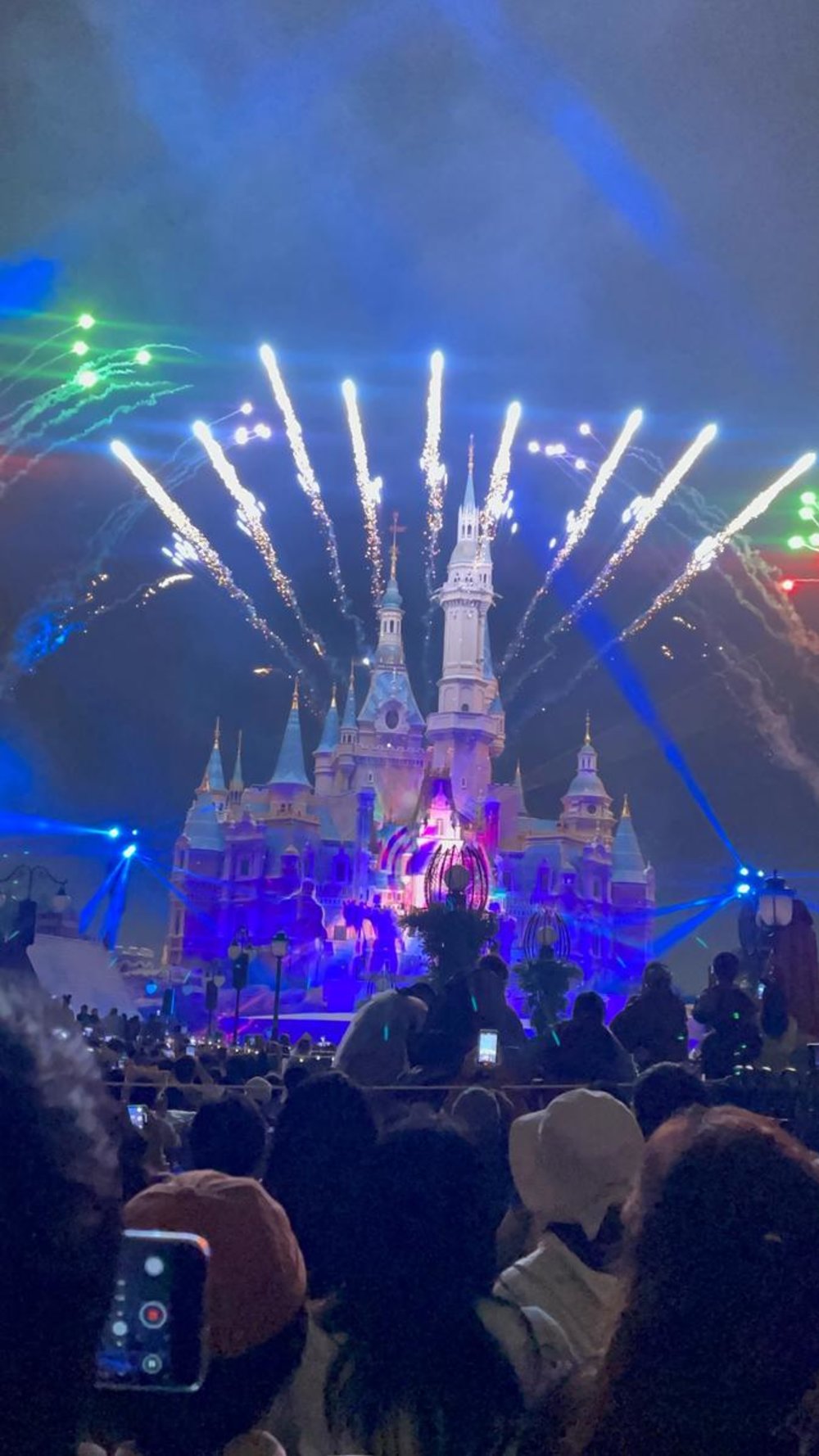 上海ディズニー チケット　ショー