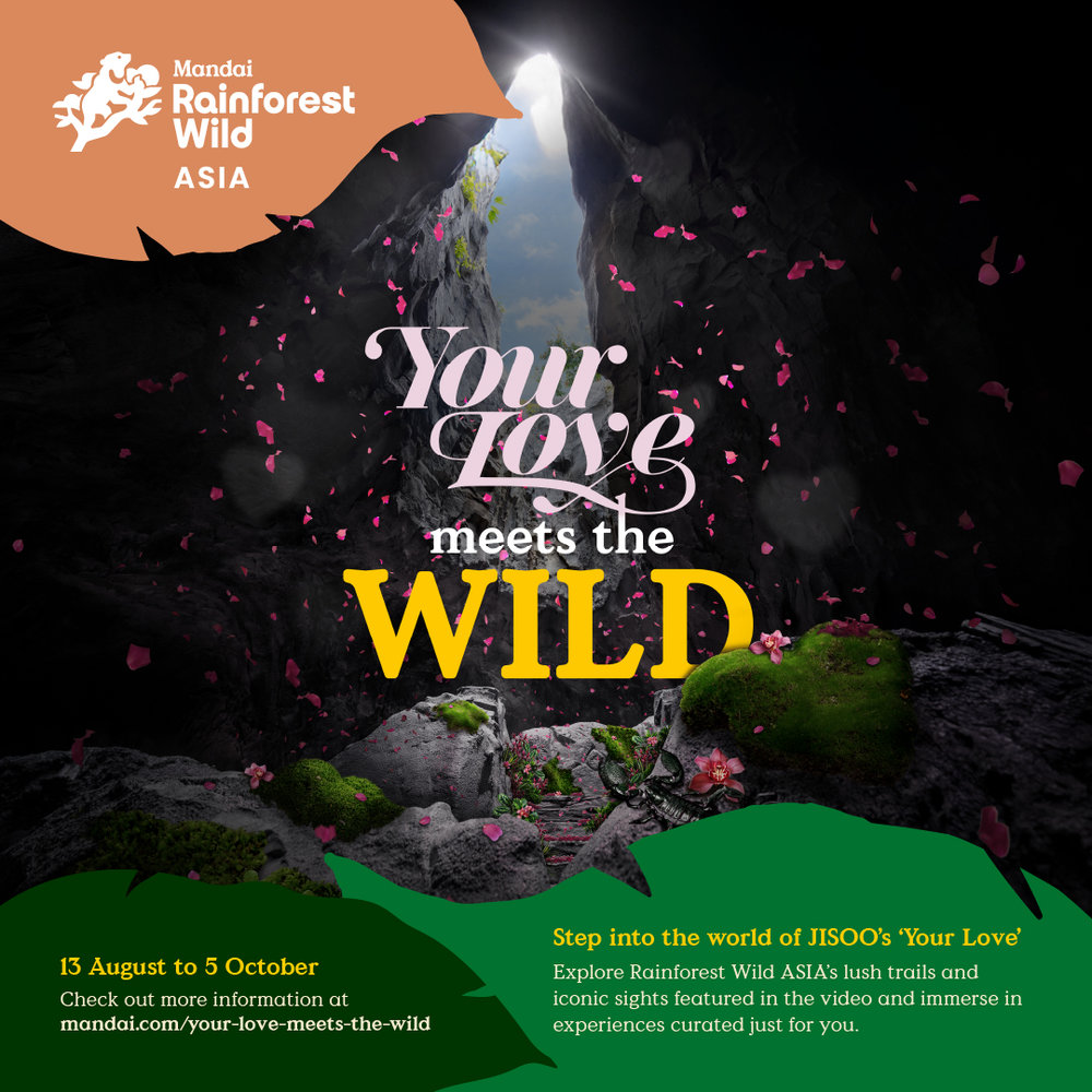 Mandai Rainforest Wild ASIA - Jisoo Your Love
