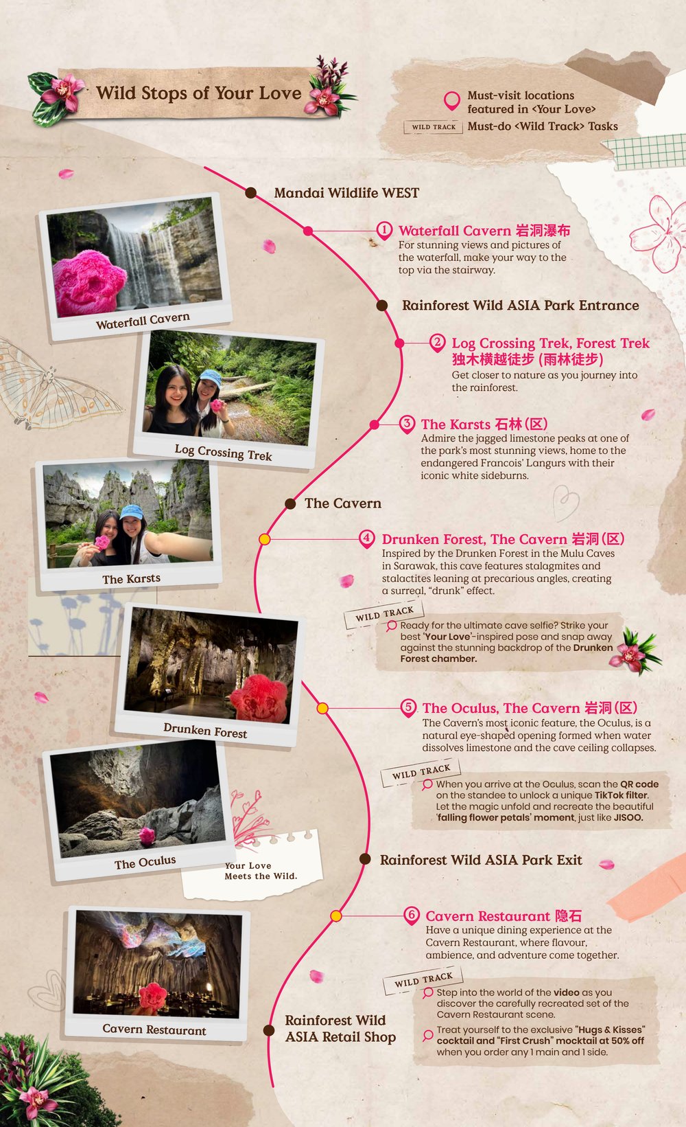 Rainforest Wild ASIA - Your Love Meets the Wild Trail Guide