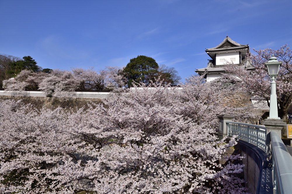 金澤城公園