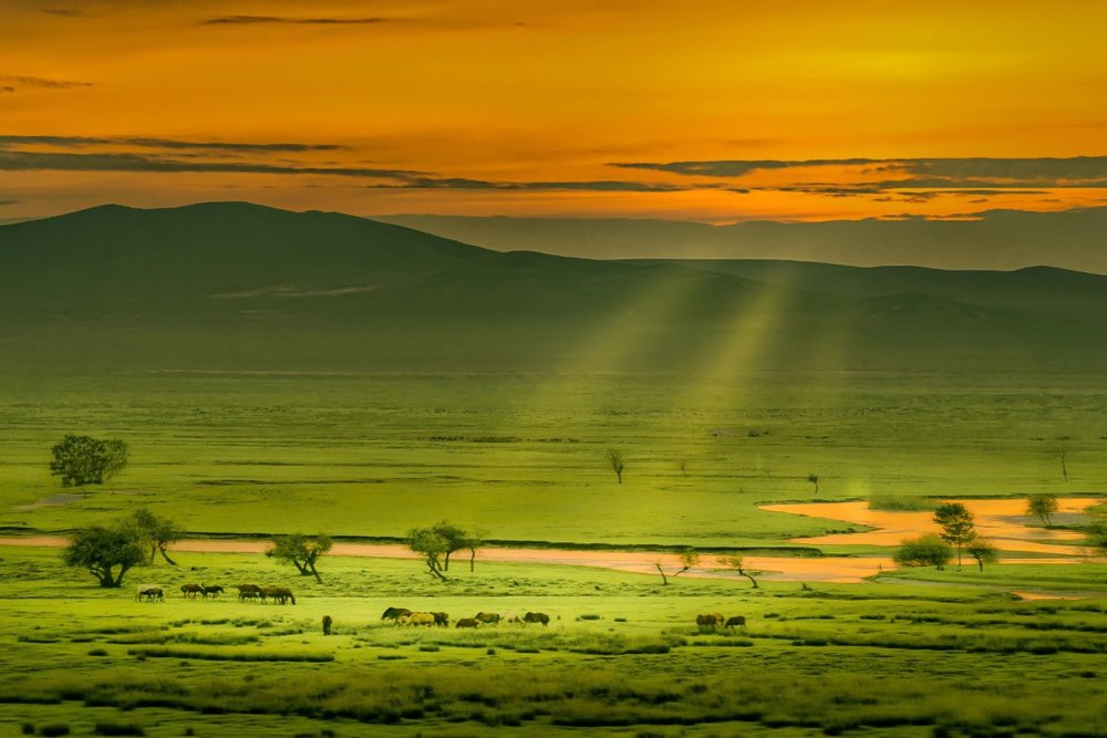 Du Lịch Mông Cổ Mùa Nào Đẹp Nhất?