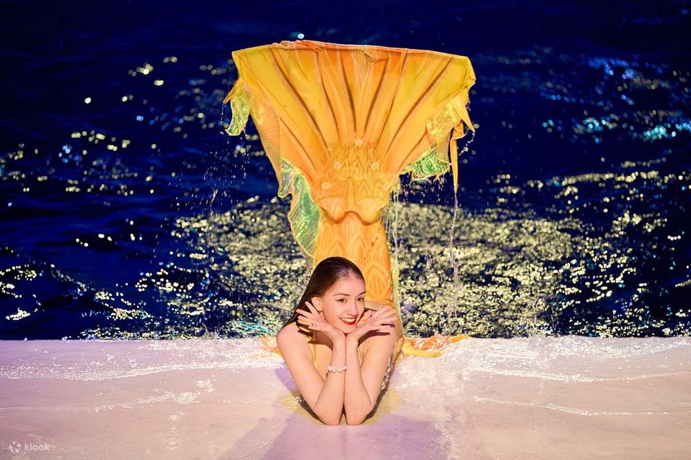 Khu Vực Biểu Diễn Nghệ Thuật – Ocean Arena