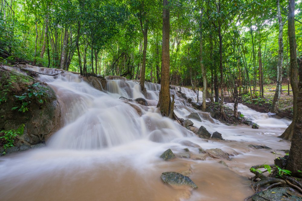 Dòng Suối Tự Nhiên Trong Vắt - Điểm Nhấn Của Suối Tiên Phú Quốc