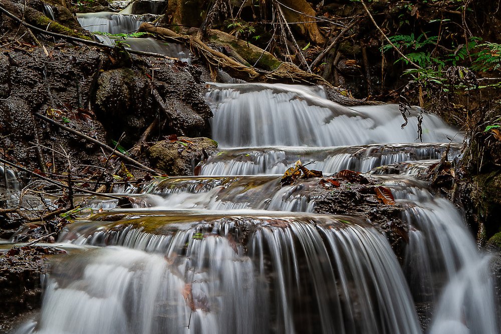 Bãi Nghỉ Tự Nhiên Ven Suối - Điểm Dừng Chân Lý Tưởng