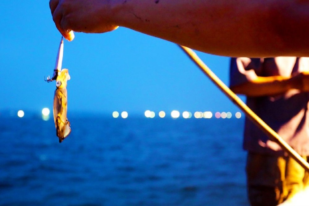 Lưu Ý Khi Tham Gia Tour Câu Mực Đêm Phú Quốc