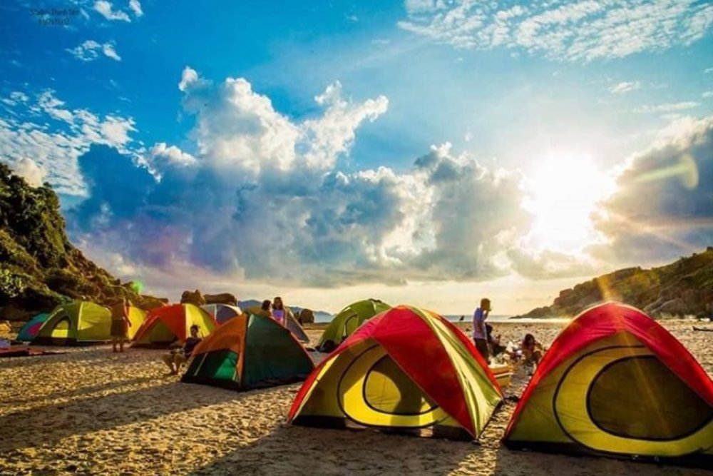 Cắm trại và tổ chức BBQ