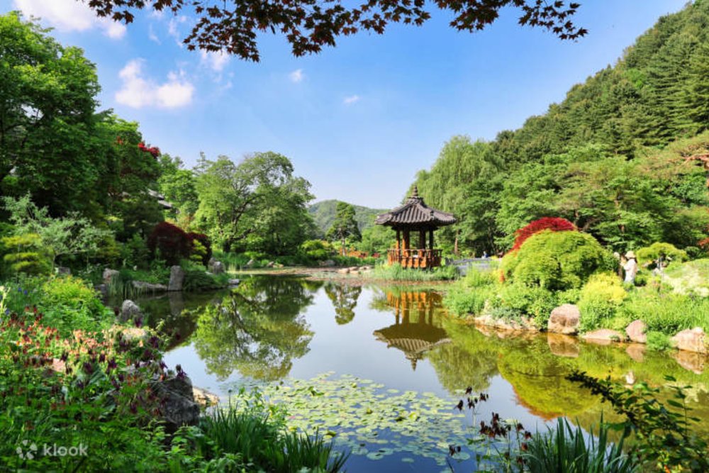 Vườn Morning Calm – Bức Tranh Tĩnh Lặng Giữa Núi Rừng