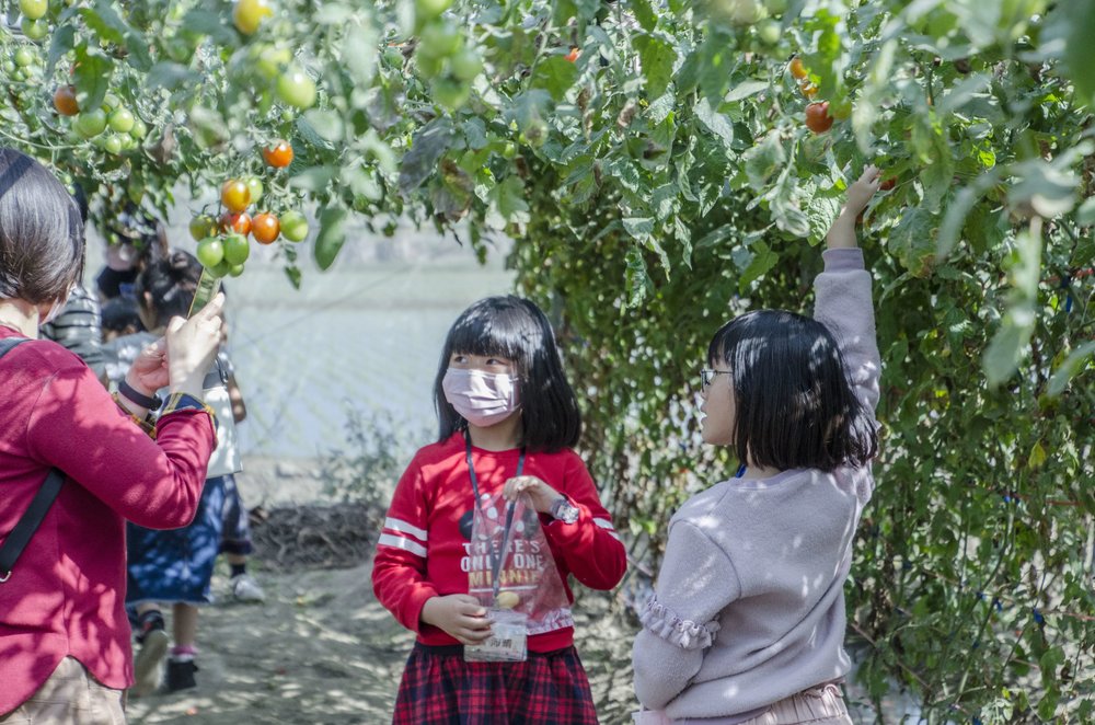 全台親子飯店 南科贊美酒店-無毒親子農園