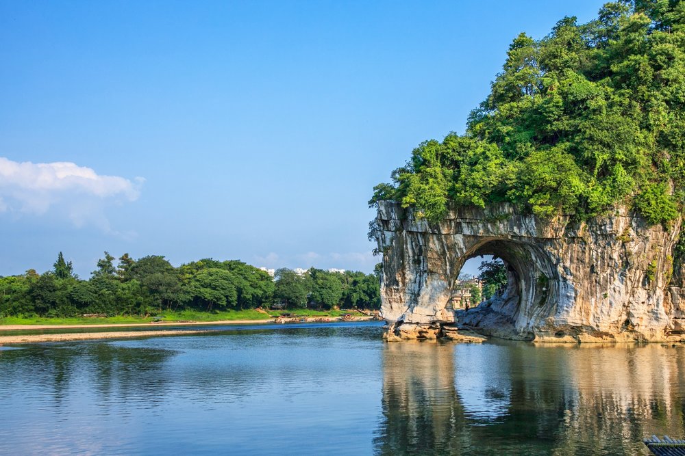 เขางวงช้าง