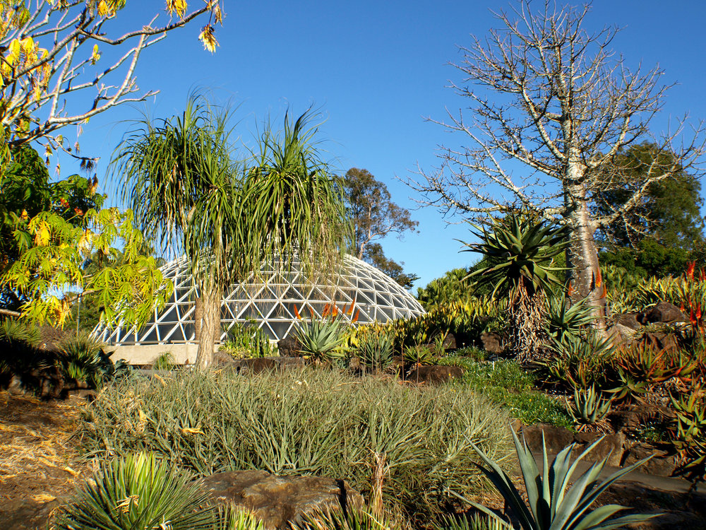 Vườn Bách Thảo Brisbane Mount Coot-tha
