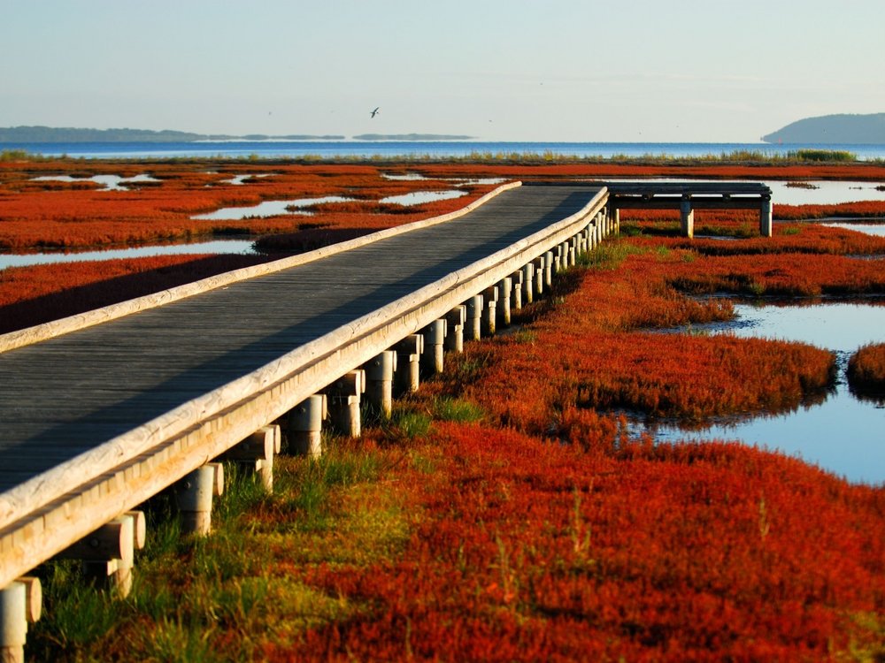 北海道活動, 能取湖珊瑚草節, 北海道9月、10月和11月活動, 北海道祭典