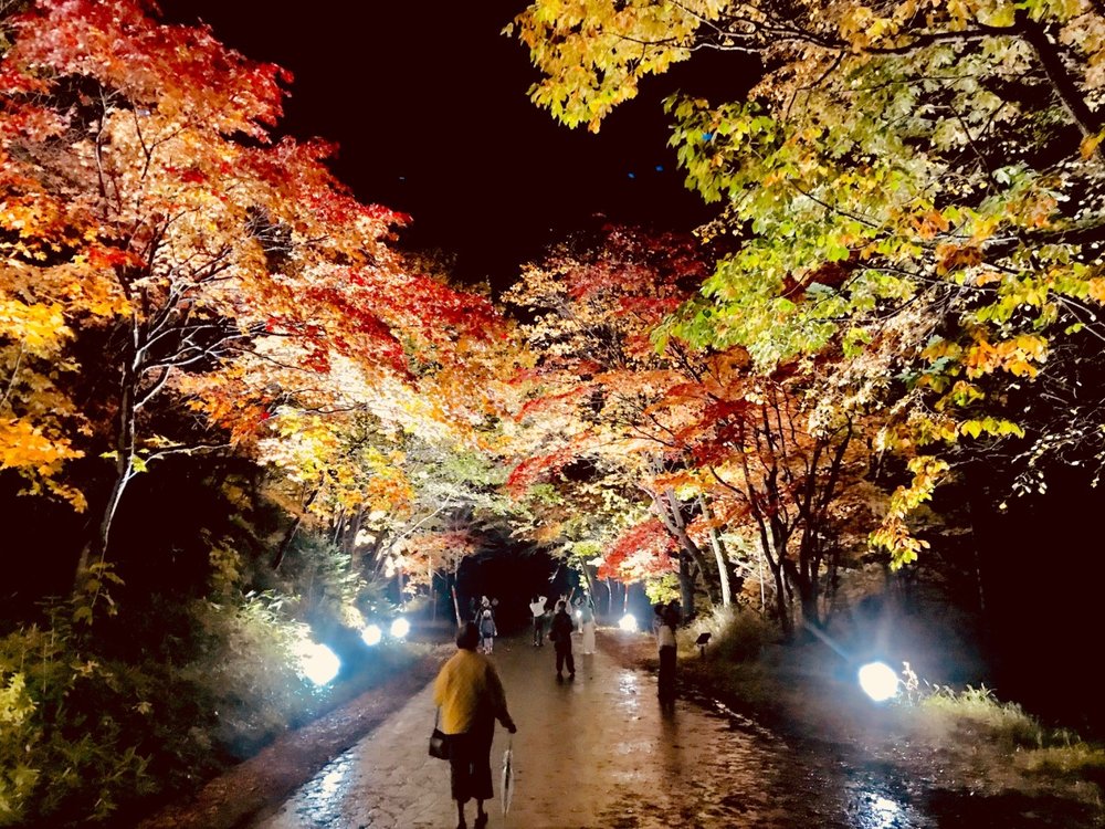 北海道活動, 層雲峽溫泉「奇蹟的點燈」互動體驗, 北海道9月、10月和11月活動, 北海道祭典