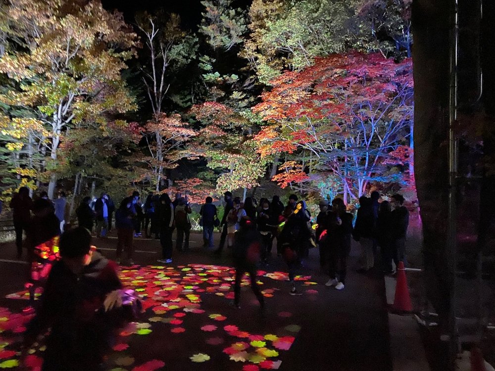 北海道活動, 層雲峽溫泉「奇蹟的點燈」互動體驗