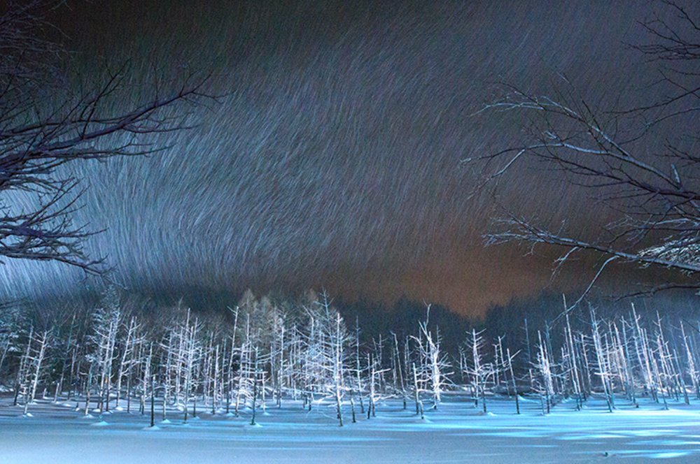 北海道活動, 白金青池冬季夢幻點燈, 北海道9月、10月和11月活動, 北海道祭典