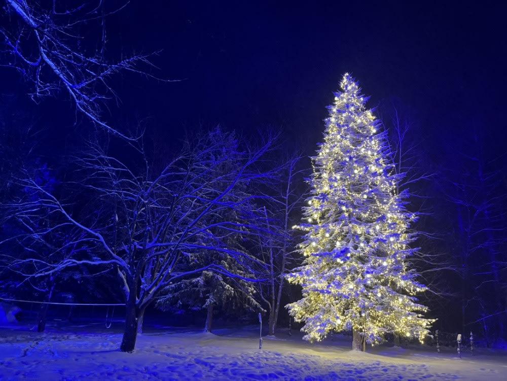 北海道活動, 白金青池冬季夢幻點燈, 北海道9月、10月和11月活動, 北海道祭典