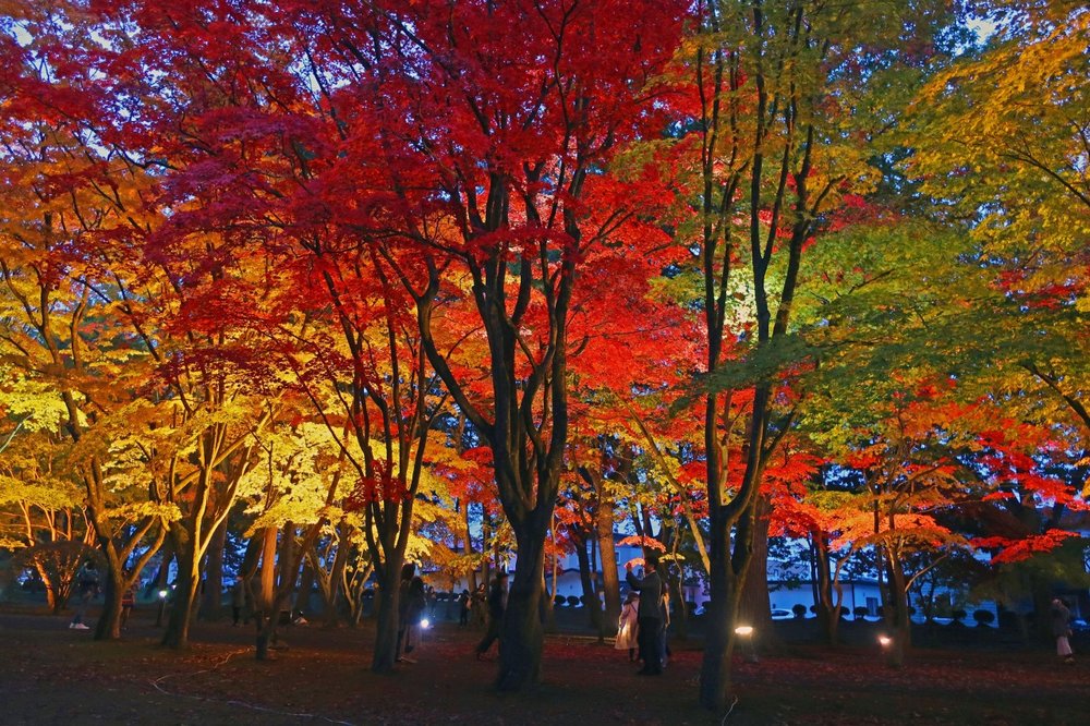 北海道活動, 舊岩船家庭園 (香雪園)・函館楓葉節