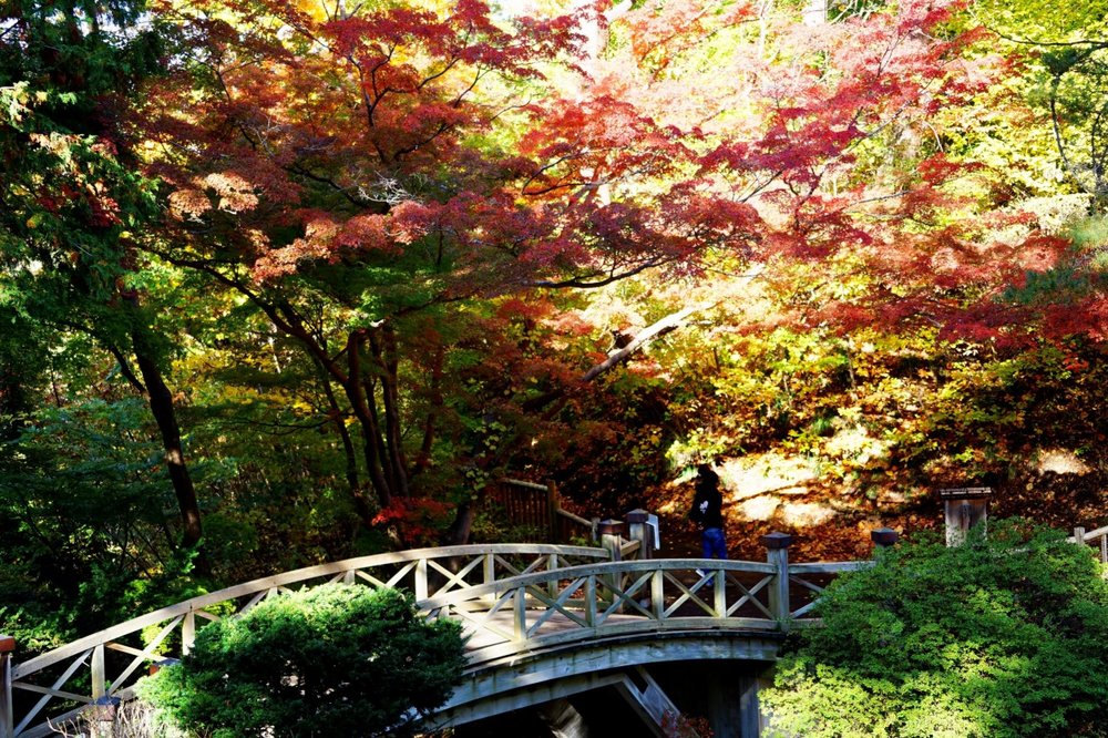 北海道活動, 舊岩船家庭園 (香雪園)・函館楓葉節, 北海道9月、10月和11月活動, 北海道祭典
