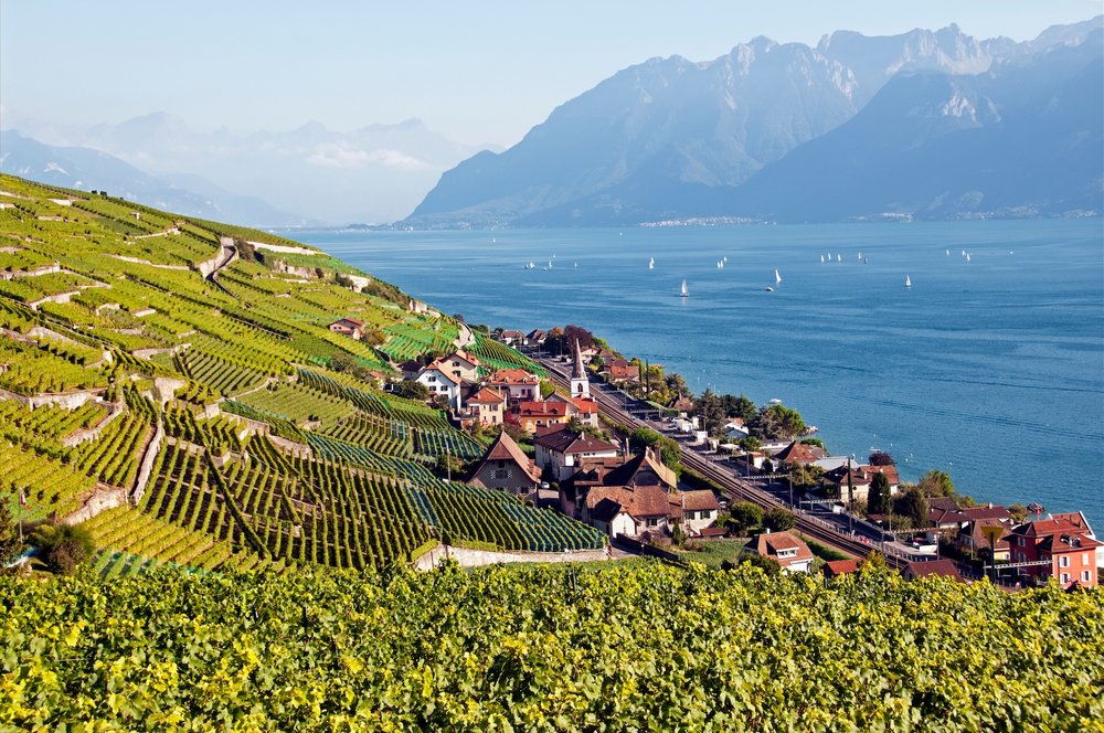 ไร่องุ่น Lavaux สีเหลืองทองริมทะเลสาบเจนีวา