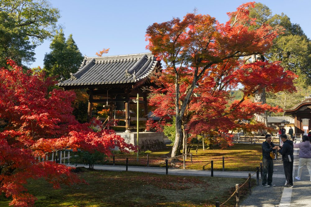 Golden Pavilion in autumn