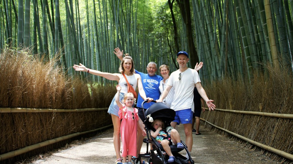 Bamboo forest